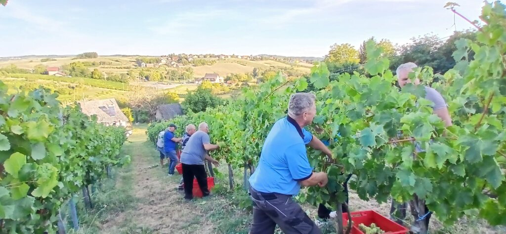 Photo 2025 08 25 19 43 14 3