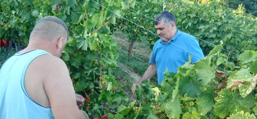 Photo 2025 08 25 19 43 15