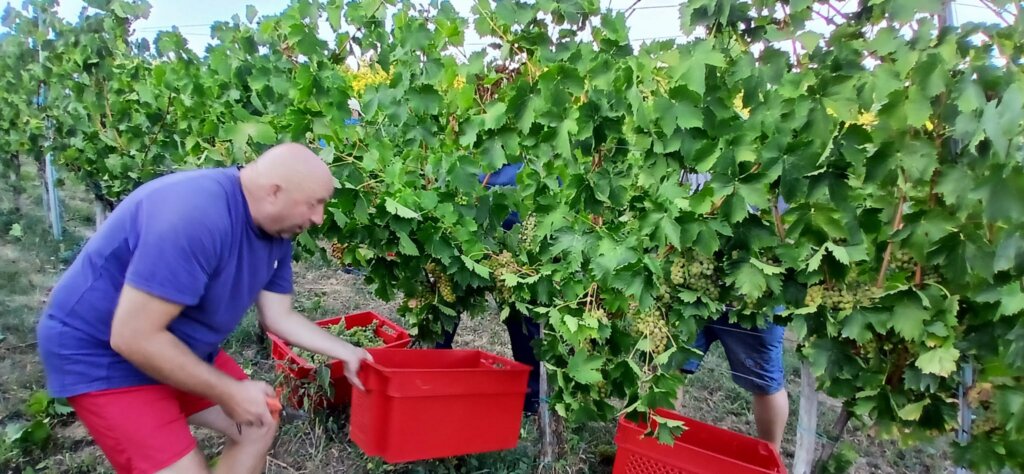 Photo 2025 08 25 19 43 15 2