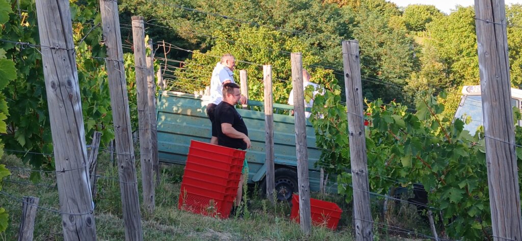 Photo 2025 08 25 19 43 16