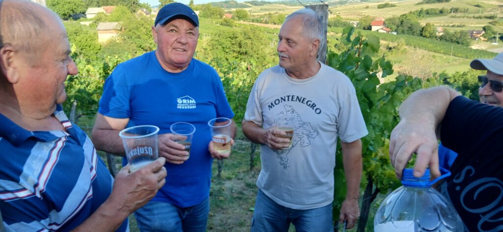 Photo 2025 08 25 19 43 16 1