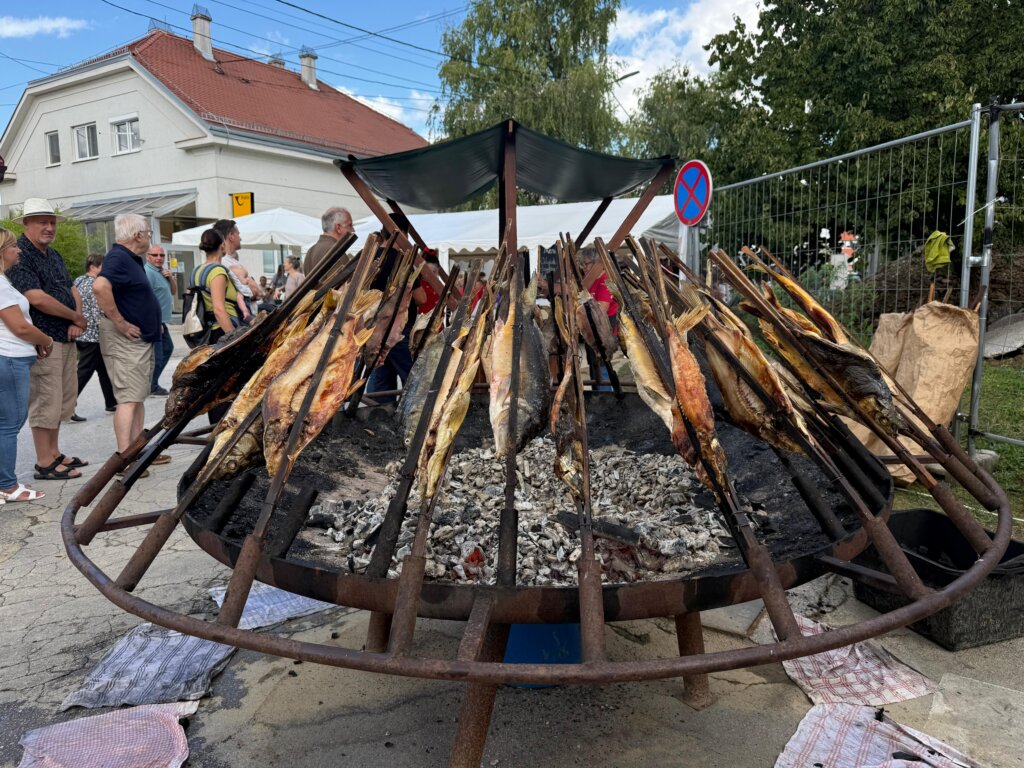 Photo 2025 08 31 13 31 10(1)