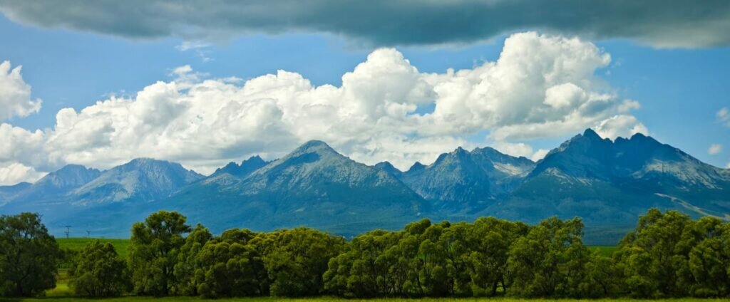 Whatsapp Image 2025 08 11 At 20.45.52 1 1024x424