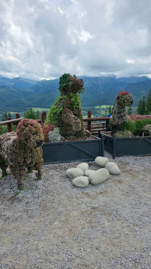 Whatsapp Image 2025 08 11 At 20.52.35 576x1024