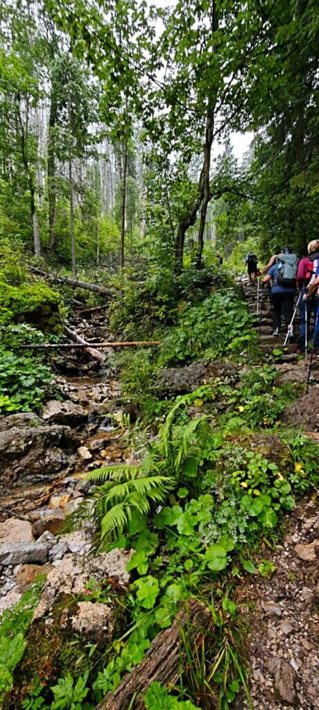 Whatsapp Image 2025 08 11 At 20.57.03 3 460x1024