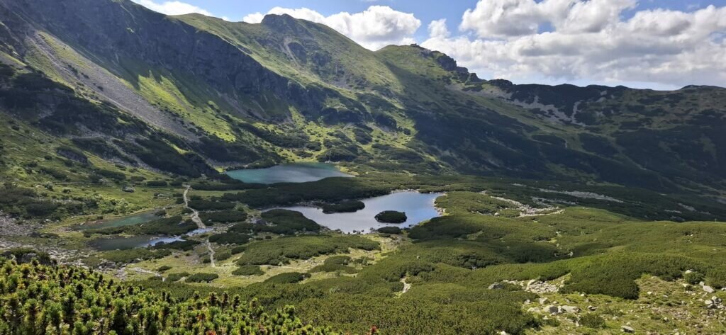 Whatsapp Image 2025 08 11 At 21.02.20 1 1 1024x473