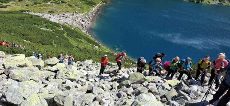 Whatsapp Image 2025 08 11 At 21.02.21 4 768x355