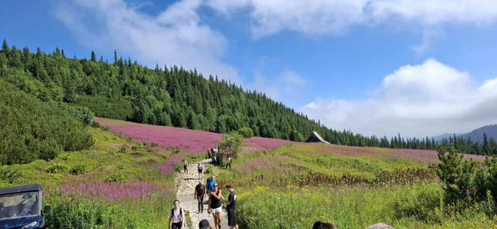 Whatsapp Image 2025 08 11 At 21.02.21 6 1024x473