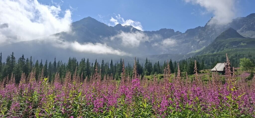 Whatsapp Image 2025 08 11 At 21.02.21 7 1024x473