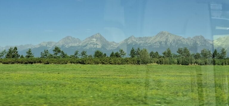 Whatsapp Image 2025 08 11 At 21.08.59 768x355