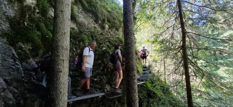 Whatsapp Image 2025 08 11 At 21.23.25 5 768x354