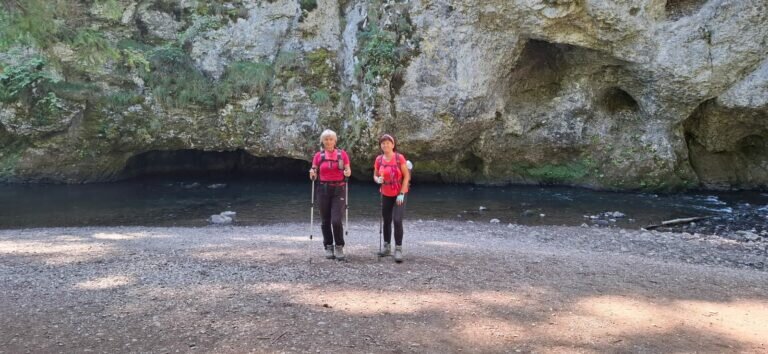 Whatsapp Image 2025 08 11 At 21.23.26 2 768x354