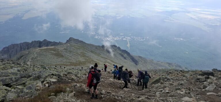 Whatsapp Image 2025 08 11 At 21.31.42 2 1 768x355