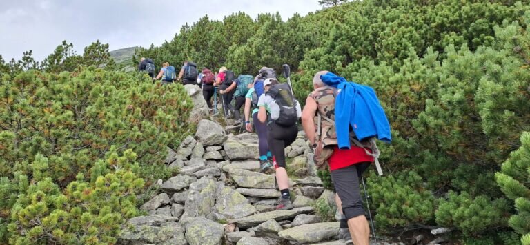 Whatsapp Image 2025 08 11 At 21.31.42 6 768x355