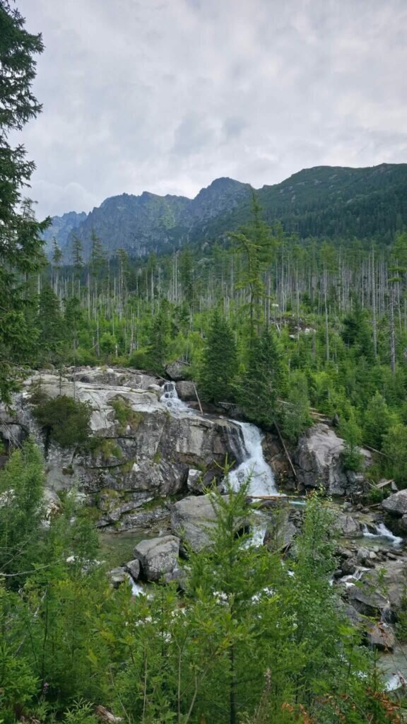 Whatsapp Image 2025 08 11 At 21.35.41 1 576x1024