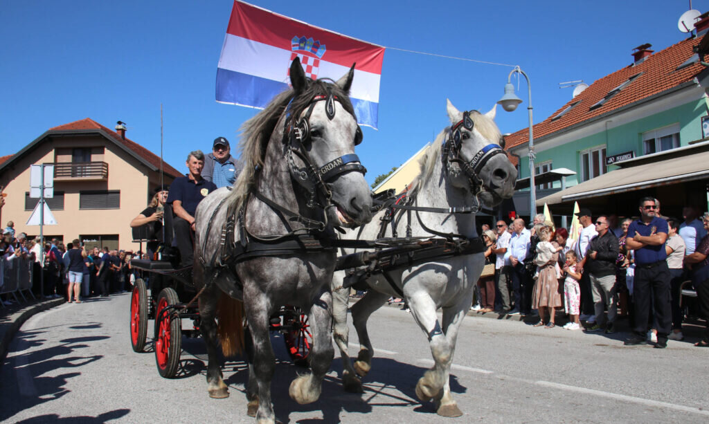 Zeljko Car 1 Scaled E1756209724678 1024x613