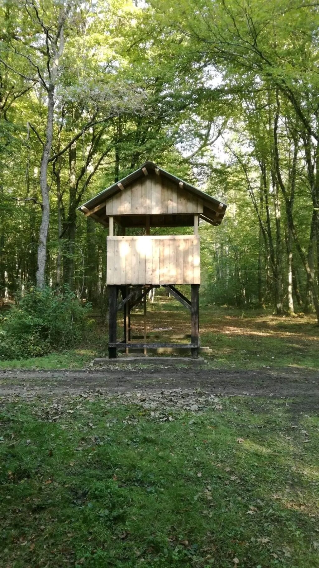 A31fbccd 9f07 412b 9d77 E5fcbf2f9038