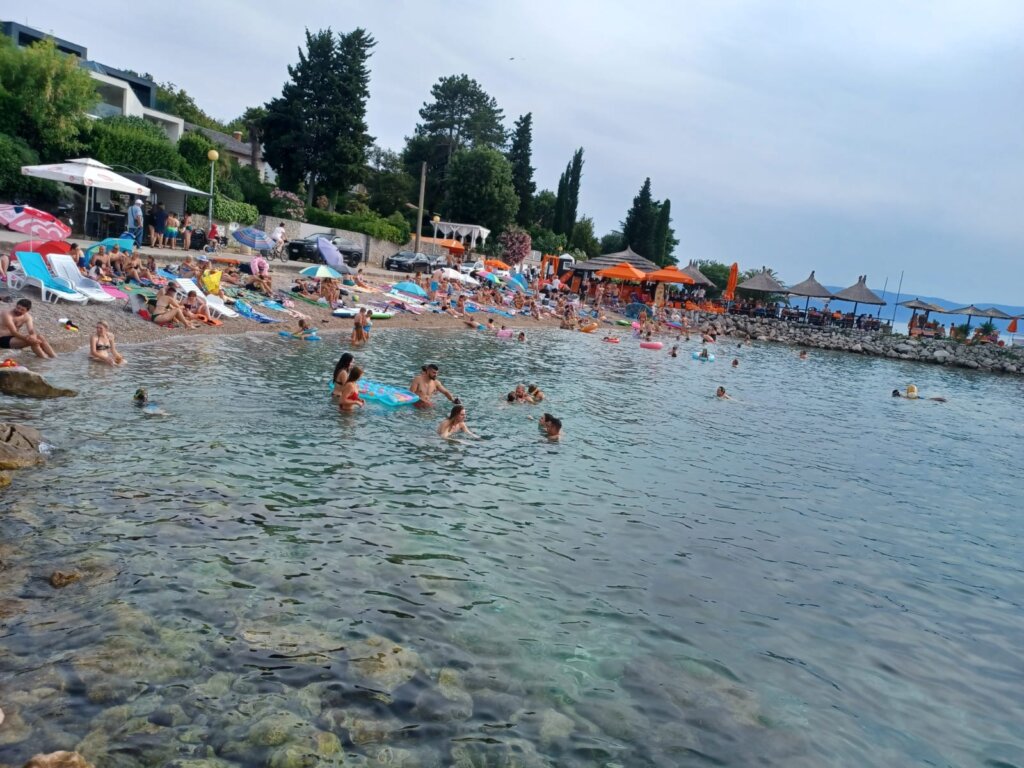 B115a884 656c 44b5 8876 85dd41c4b3e1