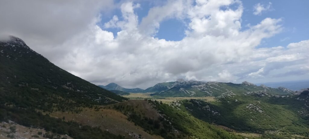 Ba9082ea Cc32 42f9 B243 03a4e9cf75e3