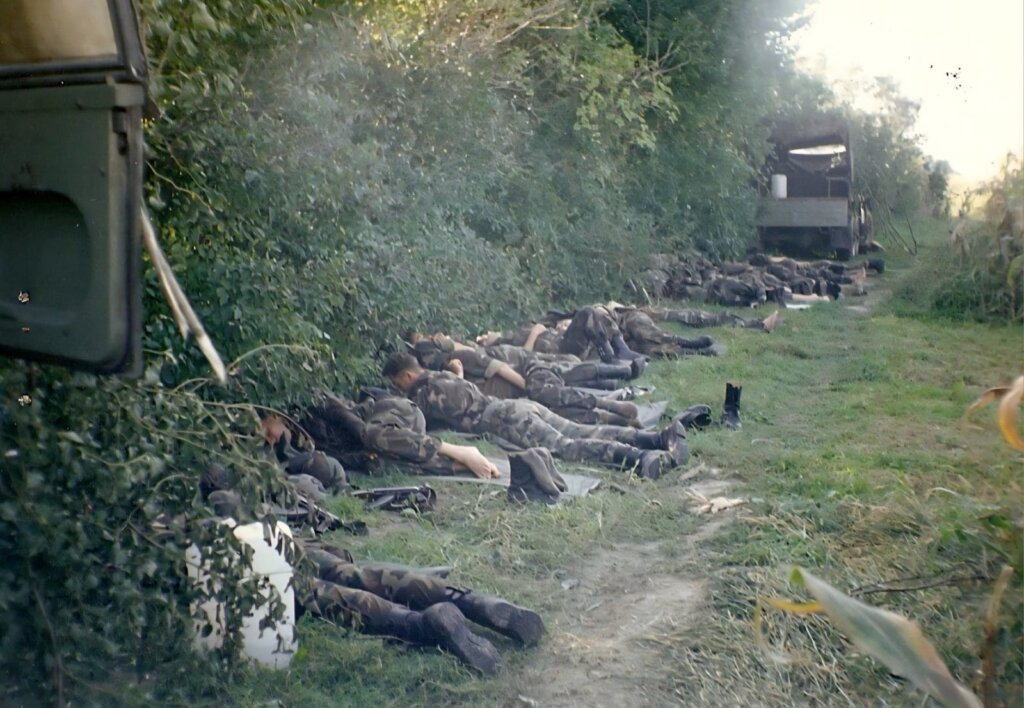 C49cbf16 845e 4d95 8060 2cdebd750a4f