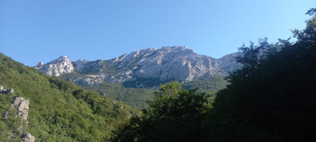 Ec93cf84 B92b 4671 A5ca 30f2a308e9b7