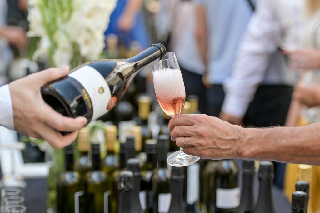 Vina Decanter Ilustracija 2