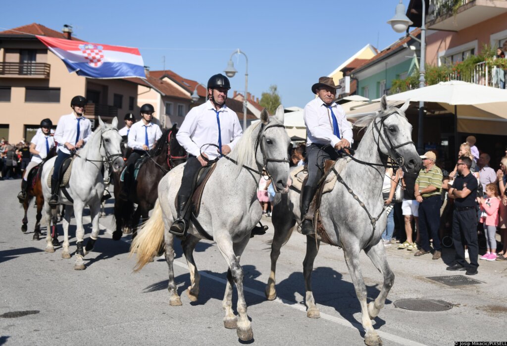 Marija Bistrica: 23. Vozočašće Konjskih Zaprega I Jahača