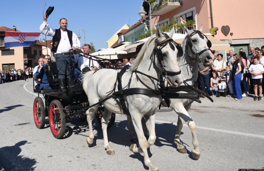 Marija Bistrica: 23. Vozočašće Konjskih Zaprega I Jahača