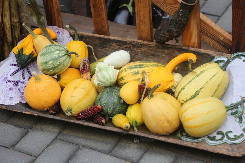 Vrbovec Nedjelja Ujutro 12