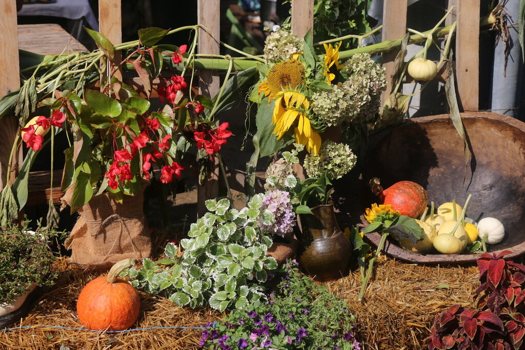 Vrbovec Nedjelja Ujutro 33