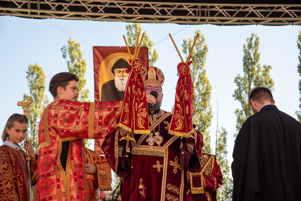 0001 šarbel Kž (44)