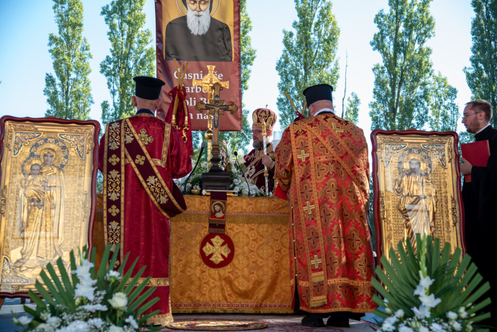 0001 šarbel Kž (46)