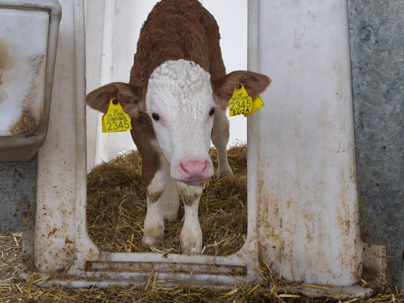 0a4df36b 9b69 40a5 9fd6 70f3a29b33b6.jfif 648x432 Q85 Subsampling 2