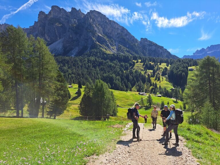 20250904 103921 768x576