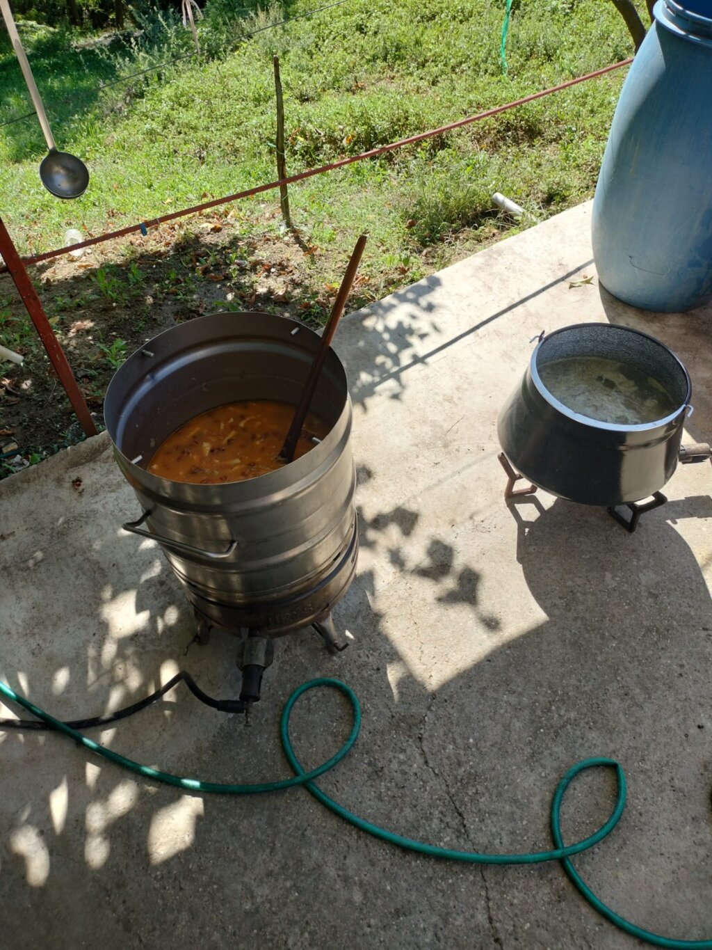 21e3a519 Dba9 4c95 A972 35117387e5f2