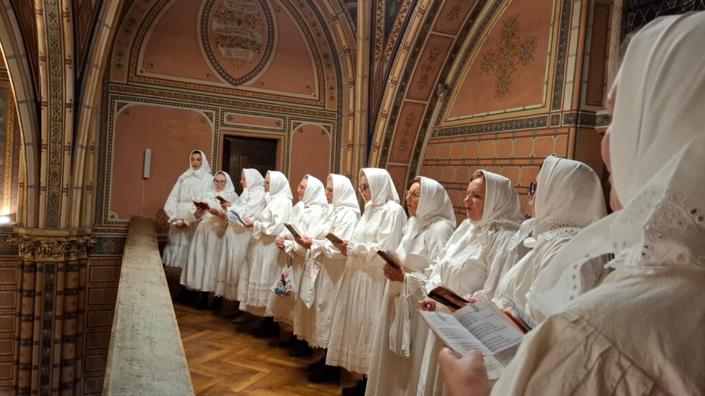 53b1e551 C1cf 4156 92db 6adce67ecd58