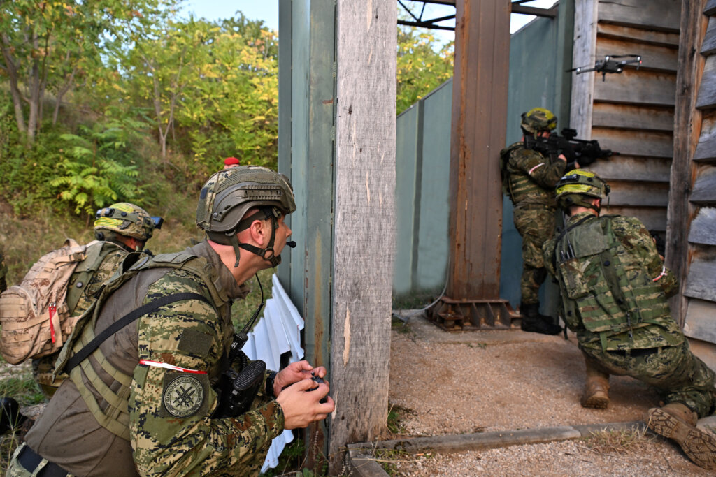 54813197990 1fa6e12f88 O