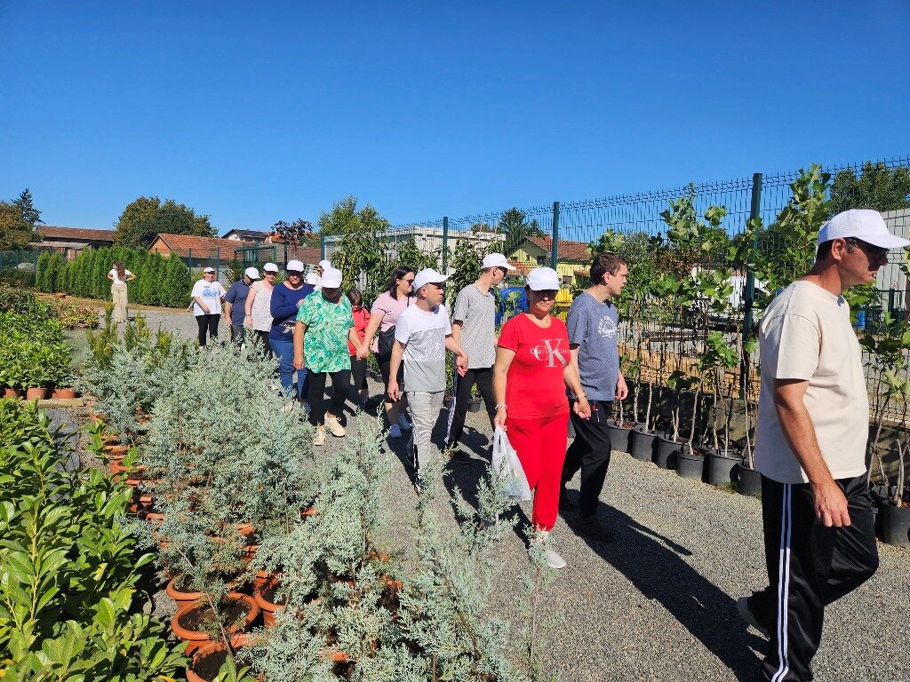 548811684 1237951721708223 5636193216012115761 N