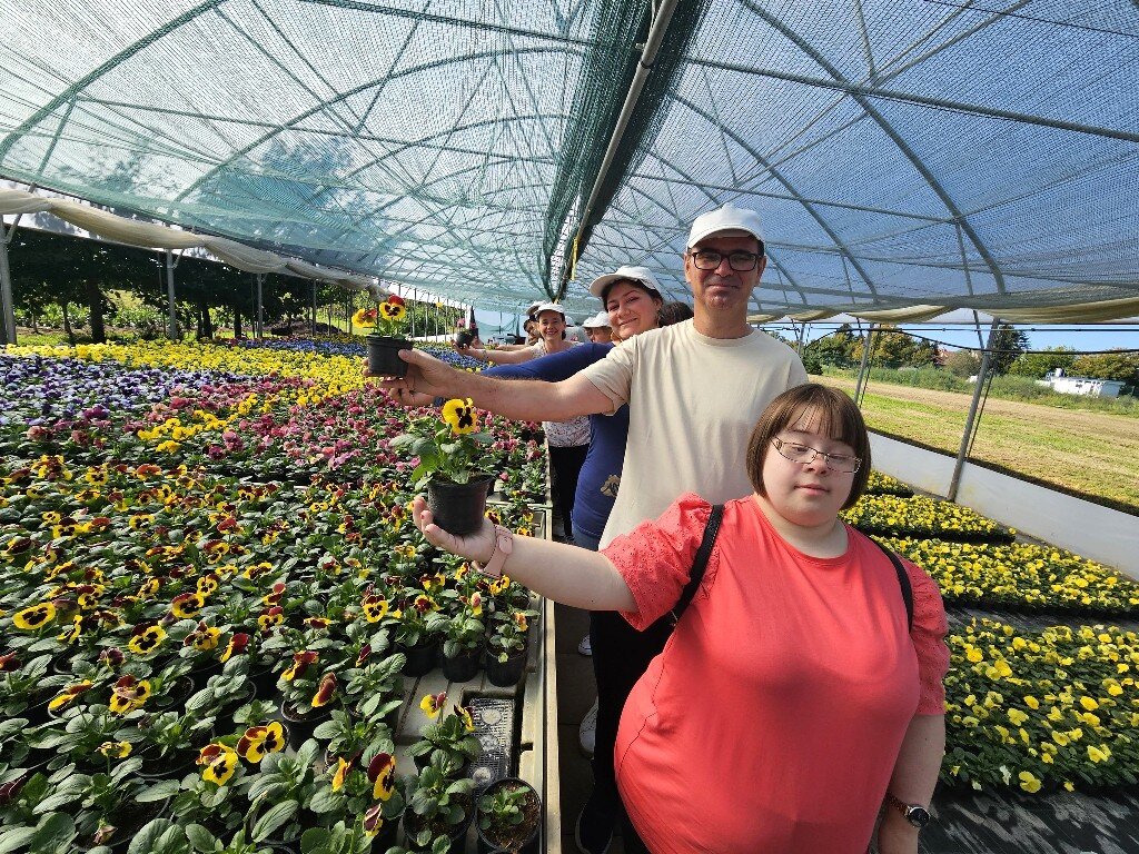 549118793 1237951755041553 1943300795735999027 N