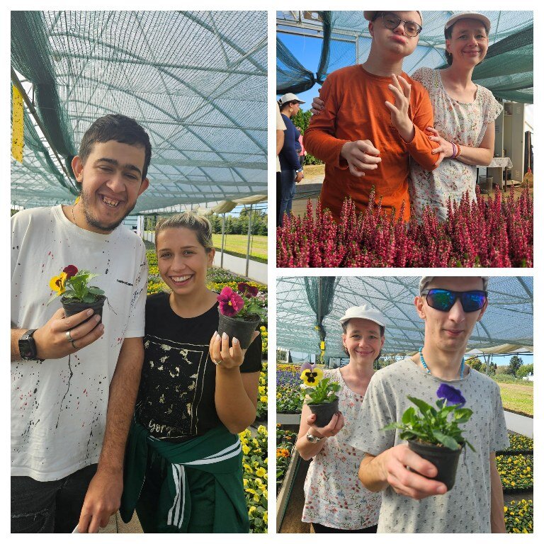 550256421 1237951555041573 7554767532994741664 N