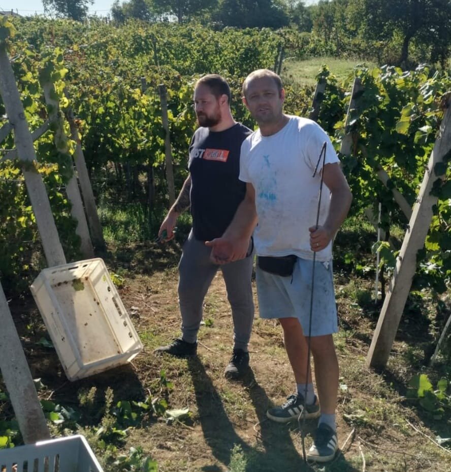 56fc2168 Fe30 43af 83b6 3f113e466b69