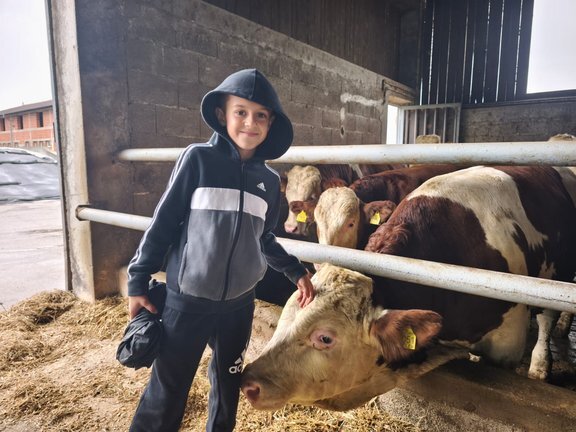 6198139f 171d 49fe B70b D07328bdb754.jfif 648x432 Q85 Subsampling 2