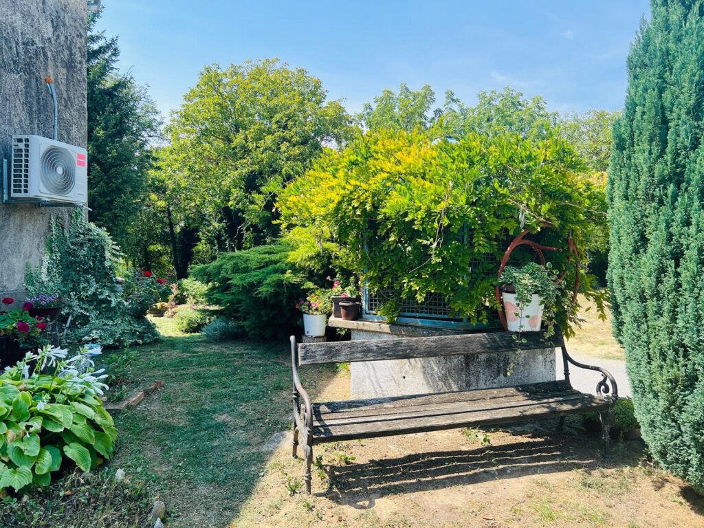 6216d37d 03c7 4dcb A46b Be99404321f6 1