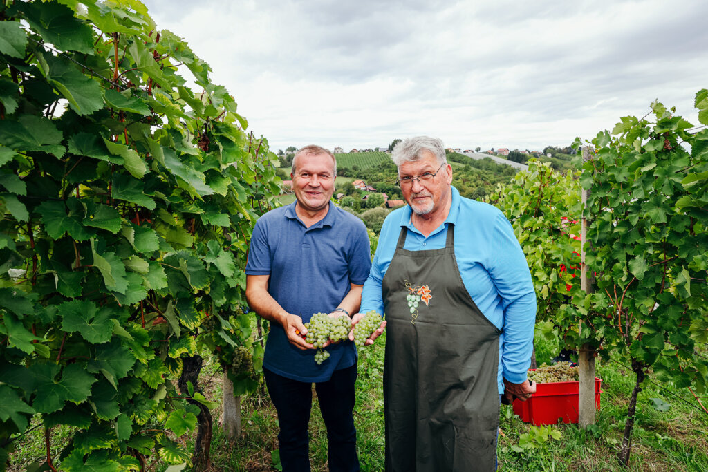 [FOTO] U vinogradu obitelji Najman održana tradicionalna županijska berba grožđa