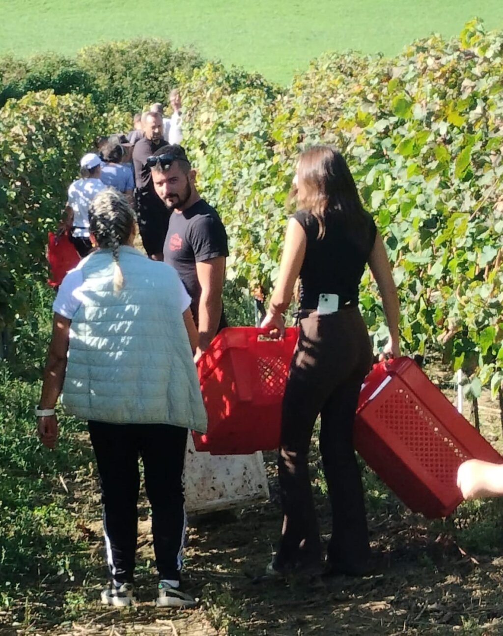 67bf7eba Beec 444f 944d Bfcf47bef4d4