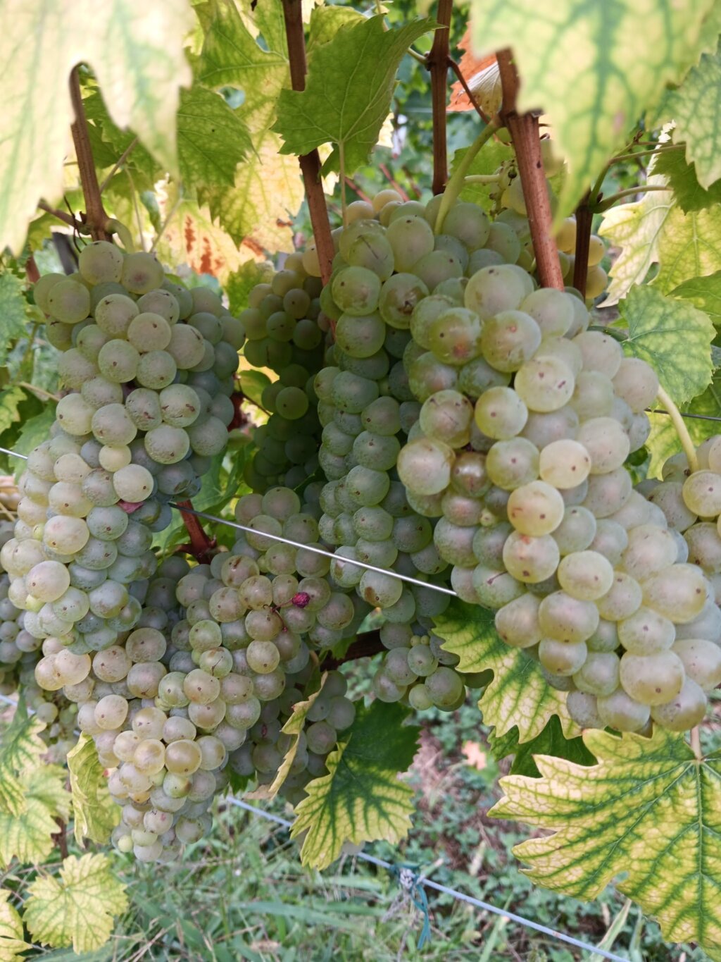 67df526b 7db7 4731 A24b E2f93c21c9fe