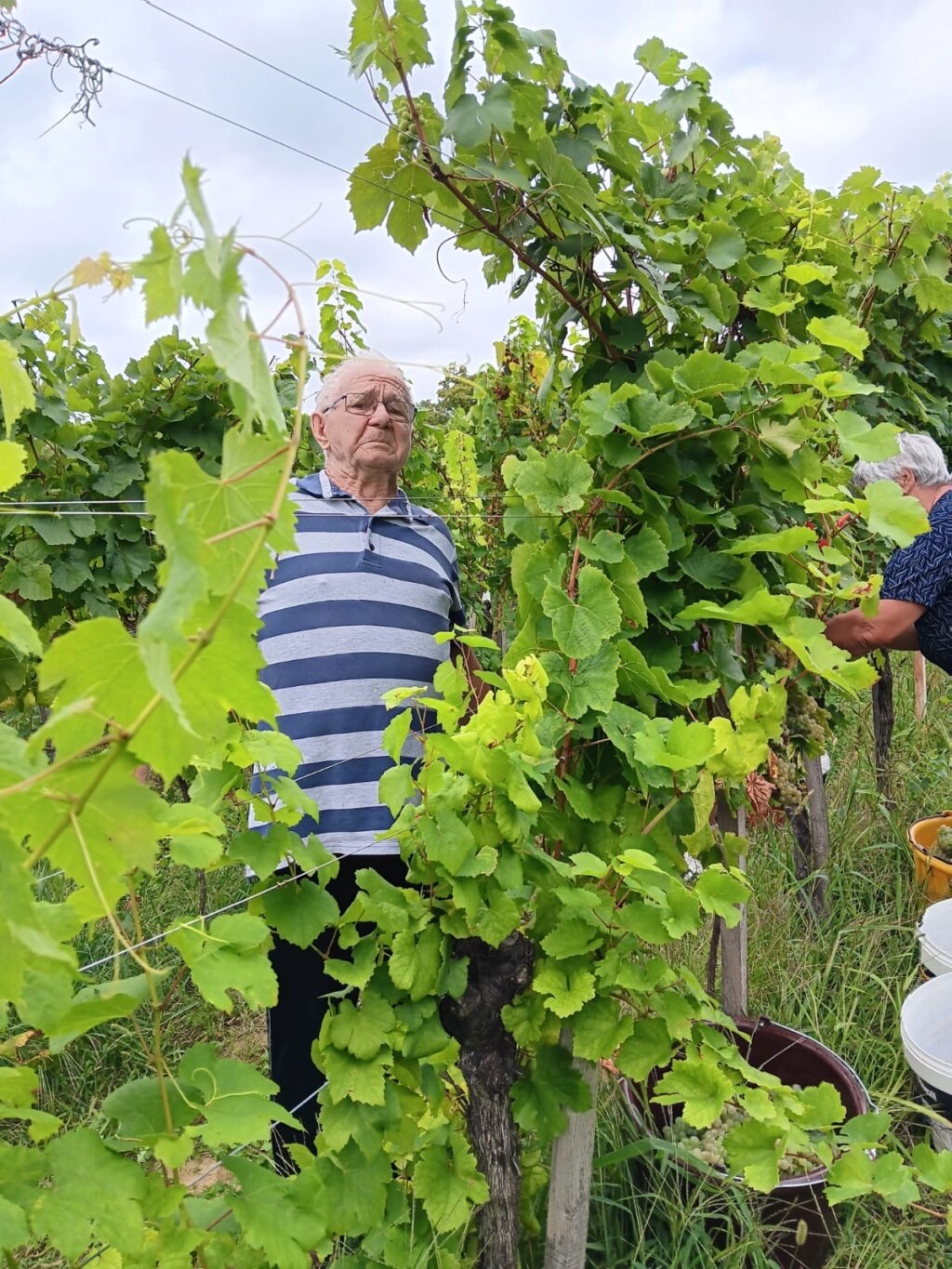 6d474e03 23ac 41f7 Bc56 0ed0e7057a5e