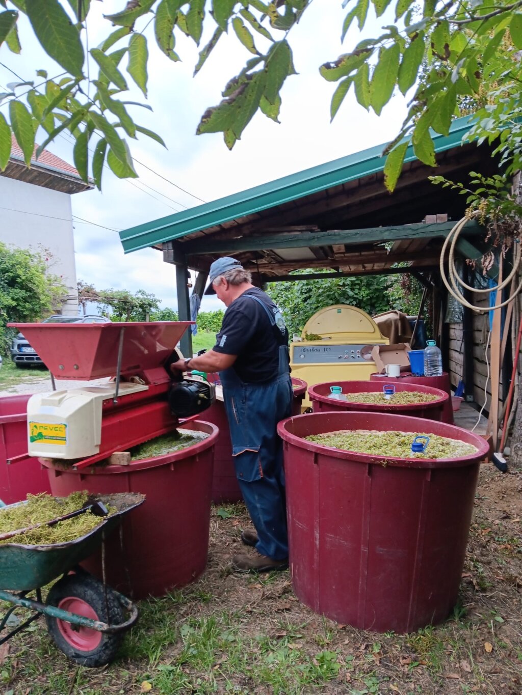 758fbfbd D0d7 46d2 9309 432639f9ad18