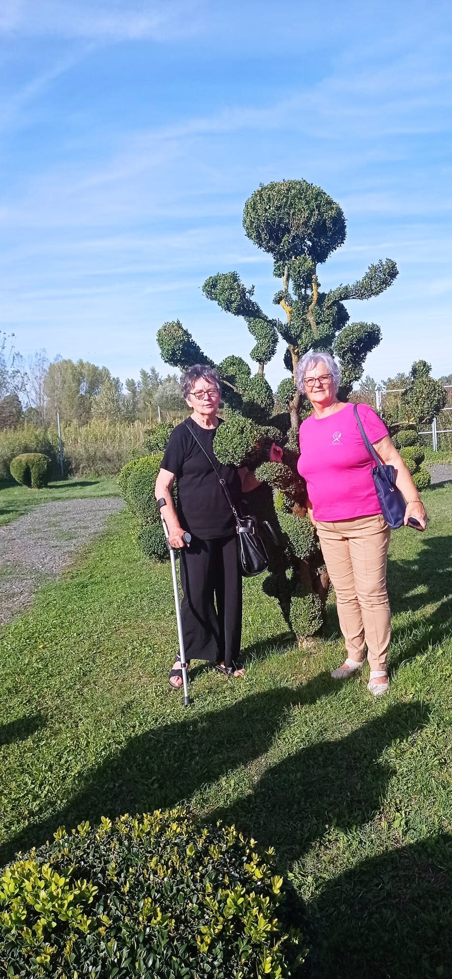 76774fab 5c57 42c8 B97f 16b4ee14fd70