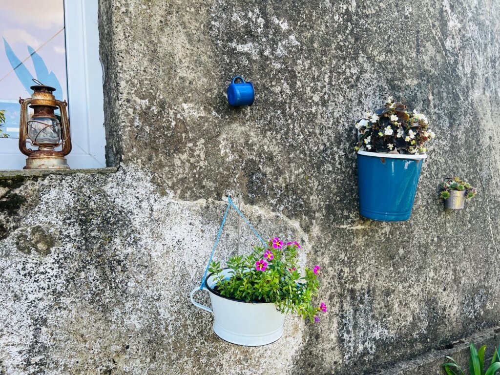 79791004 E0b1 4117 883f 318d3f667e1b